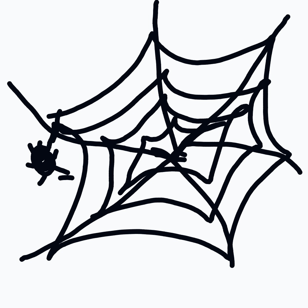 A spider web with a small spider hanging from the left side.